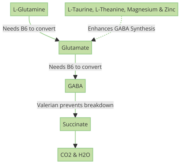 GABA Pathway With Nutrients | Vitality and Wellness