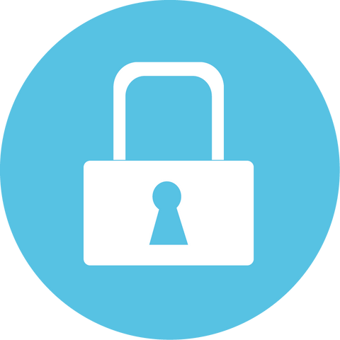 Security Icon