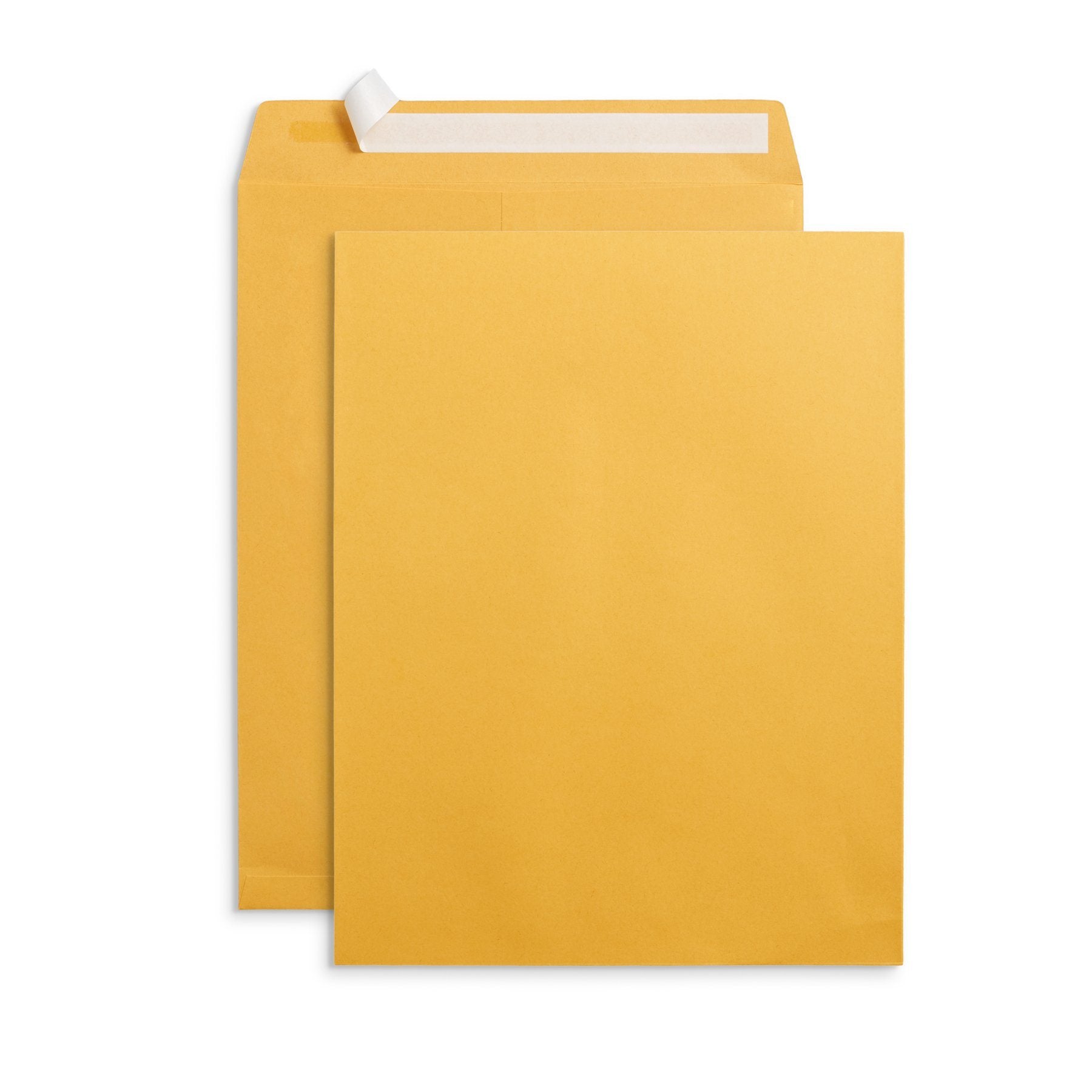 blue-summit-supplies-catalog-envelopes-10-x-13-kraft-paper-100-pa