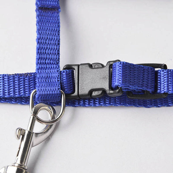 best Cat walking Harness and Leash Adjustable img 02