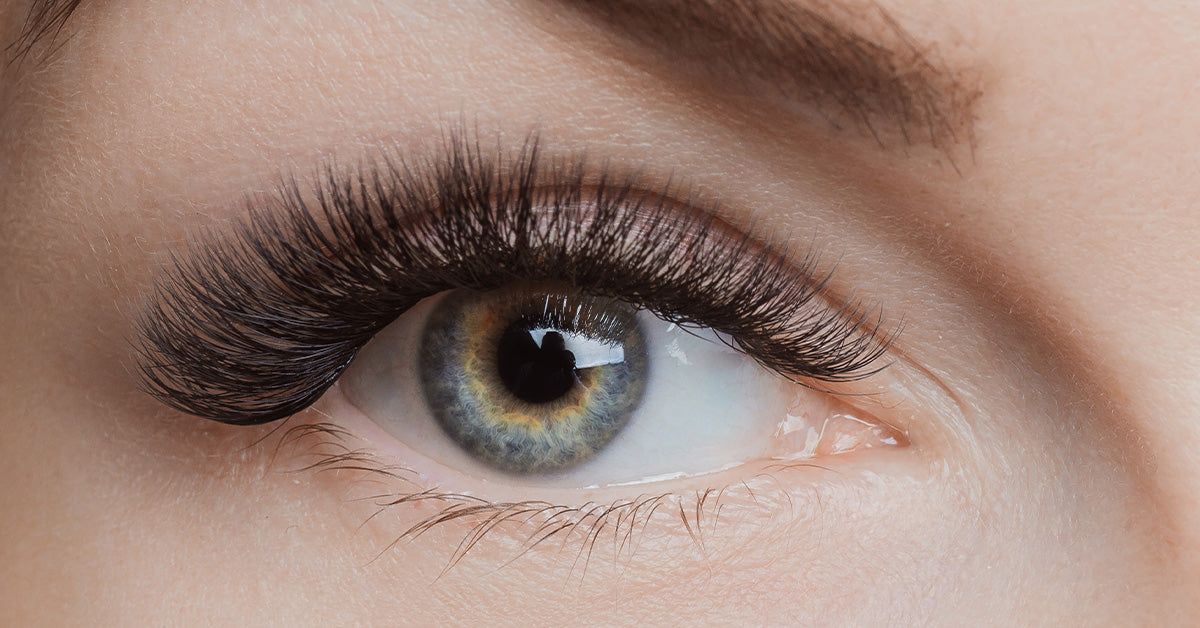 Full Set Of Volume Lashes