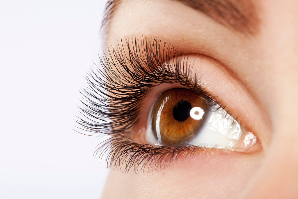 Close-up of woman’s eye wearing dark brown flat lashes.