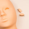 Replacement Lids for Mannequin Head