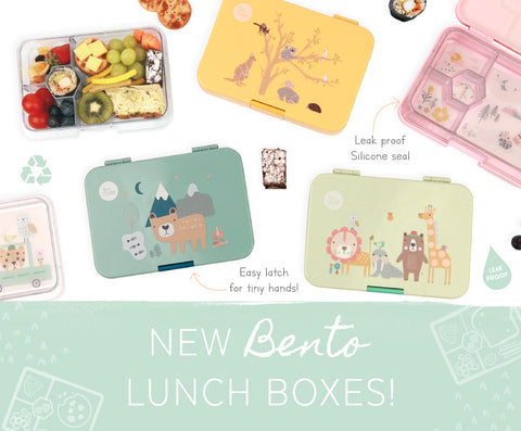 best lunch boxes for kids bento snack healthy toddler