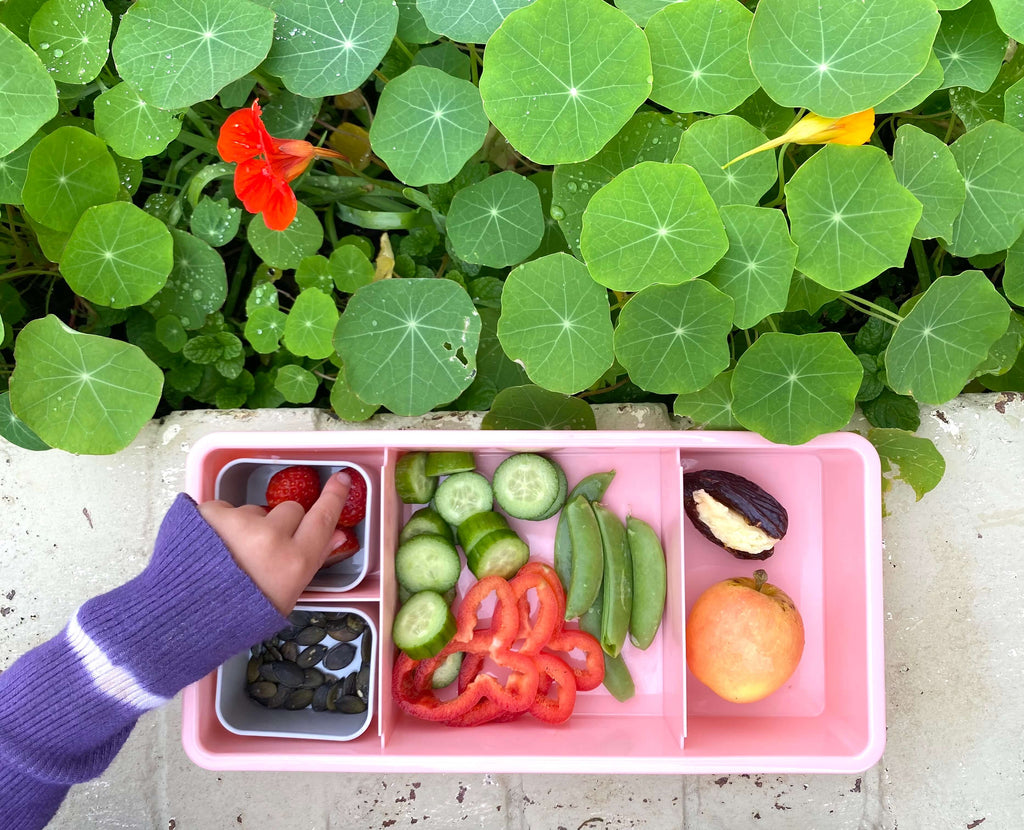 lunch box recipes for kids