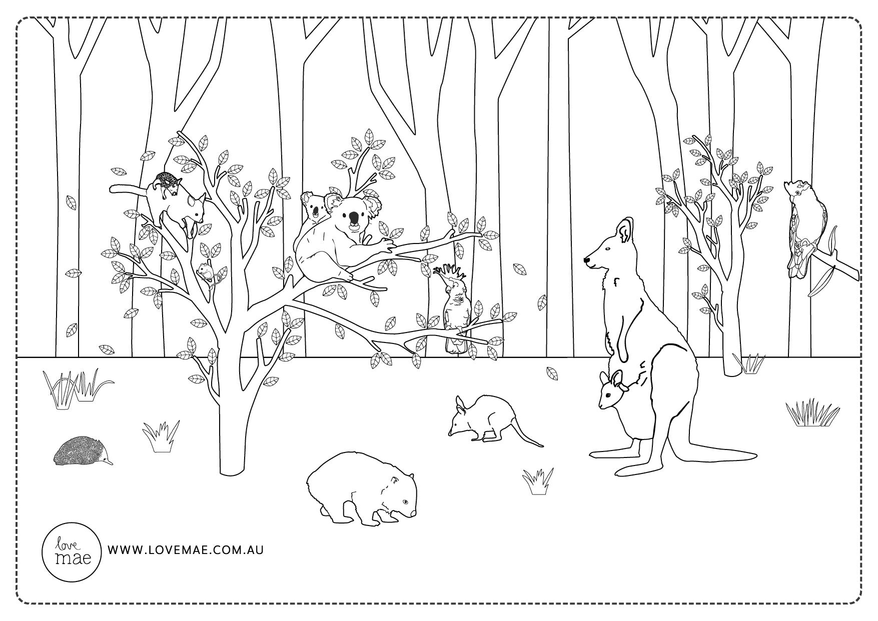 Australian_Animals_Aussie_Australiana_Illustration_Download_For_Kids_Colouring_In