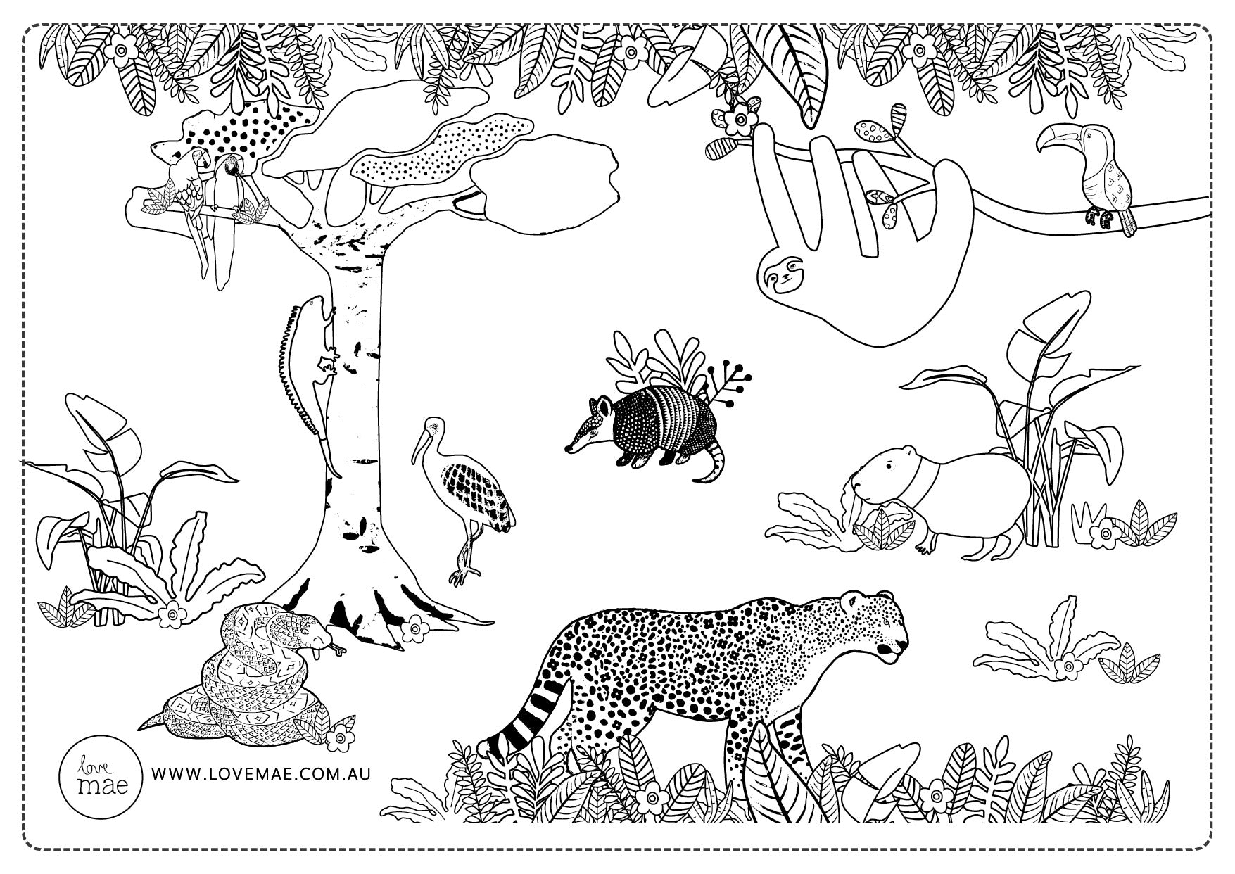 Amazon_Jungle_Animals_Forest_Nature_Illustration_Download_For_Kids_Colouring_In