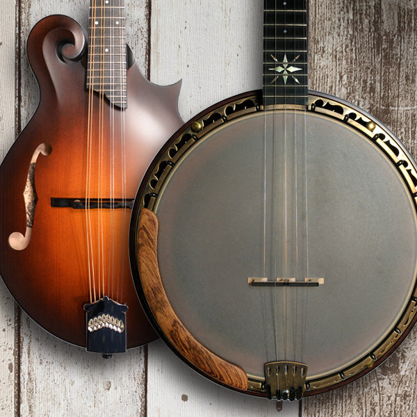 Meg's Guide To Folk, Country & Bluegrass Instruments - Guitars, Banjos,  Mandolins & More! 