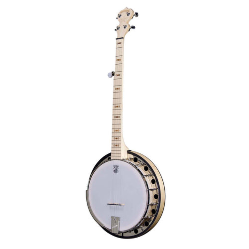 deering banjos for sale