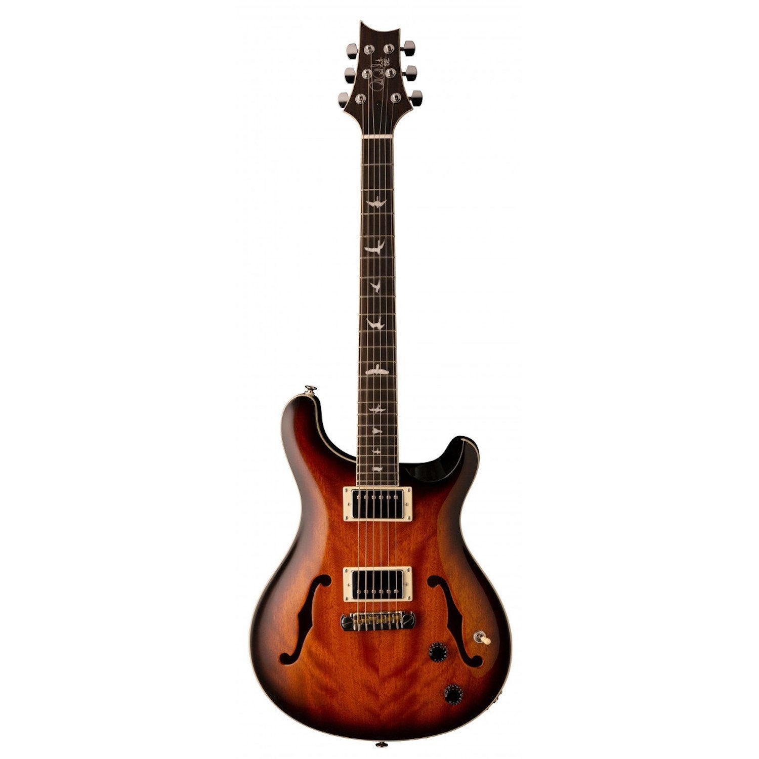 PRS Exotic Wood Series Custom 22 BP-www.steffen.com.br