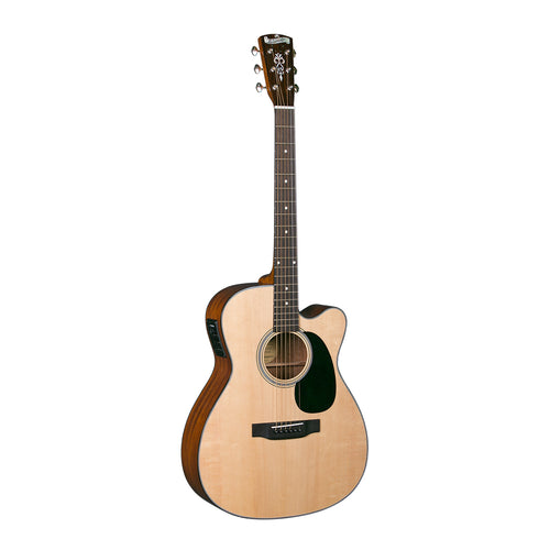 blue ridge guitar br 180a ราคา -