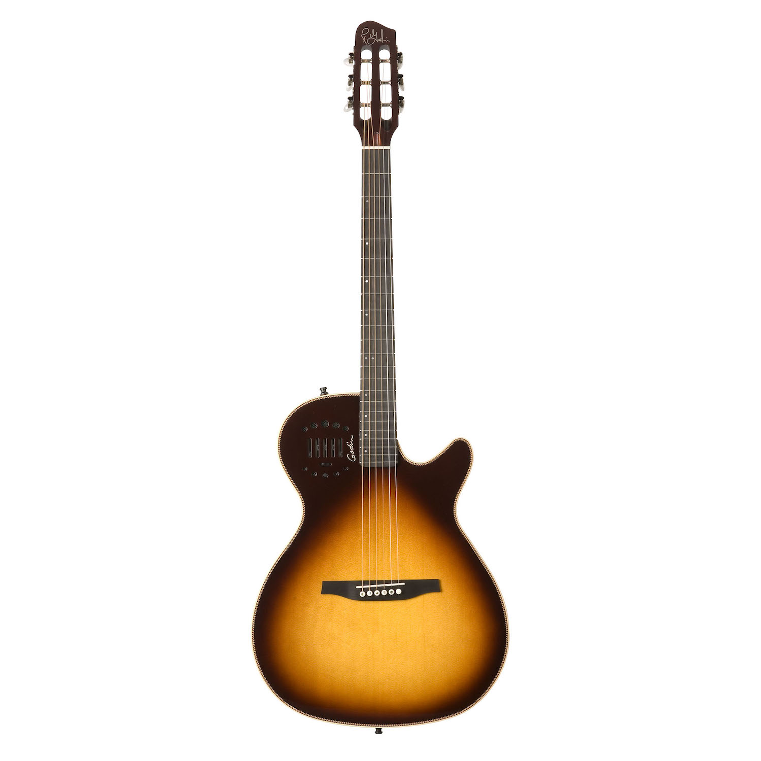 godin steel duet