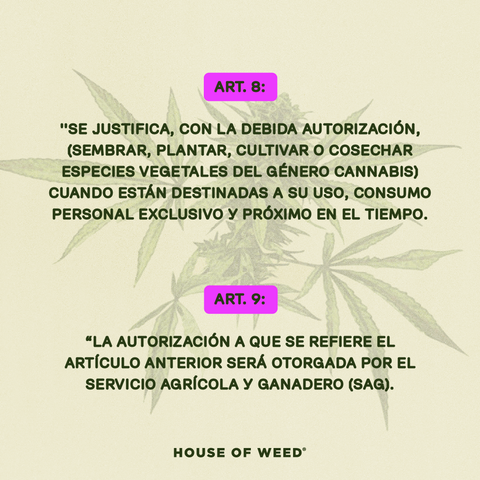 alt='' autocultivo ley 20000 chile ''