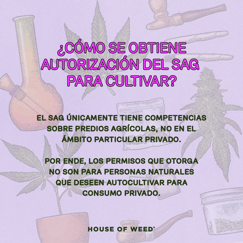 alt='' autocultivo ley 20000 chile ''