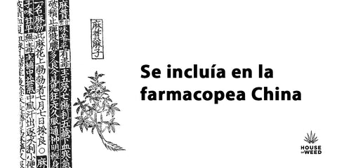 alt='' historia del cannabis medicinal farmacopea china ''.jpg