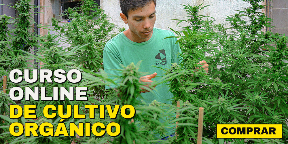 Curso online de cultivo organico