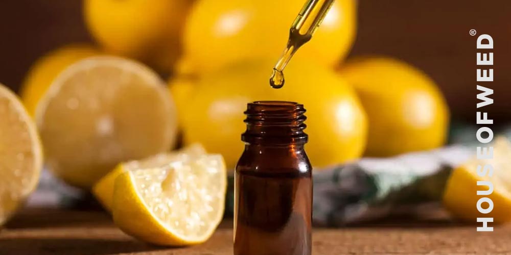 Terpenos aceite limoneno