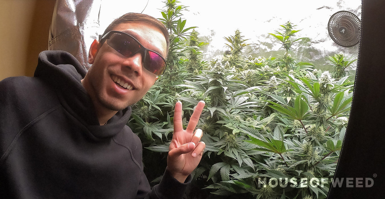 noé haciendo expresión  paz y amor al lado de un cultivo indoor de cannabis