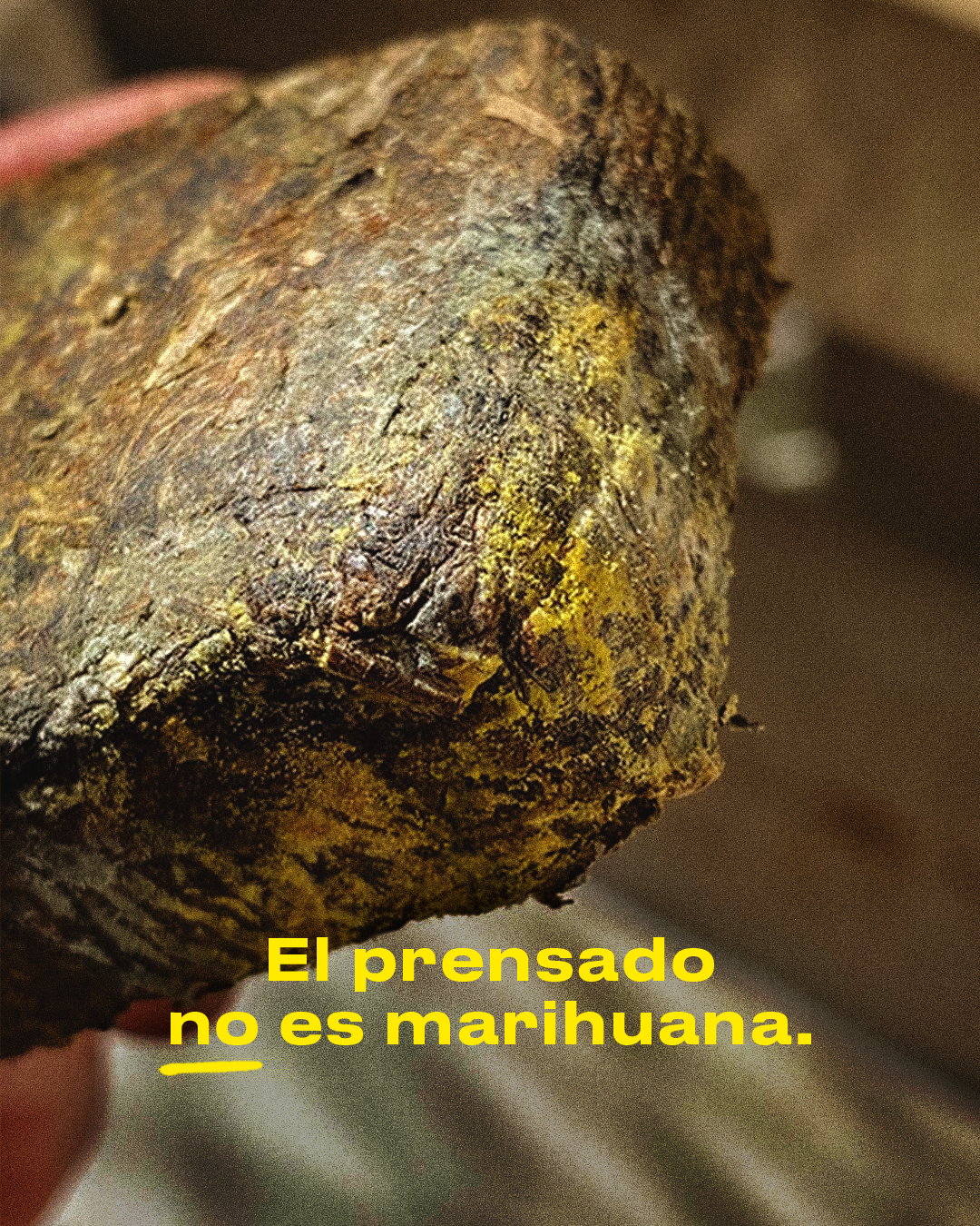 el prensado no es marihuana