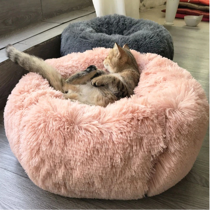 plush cat bed