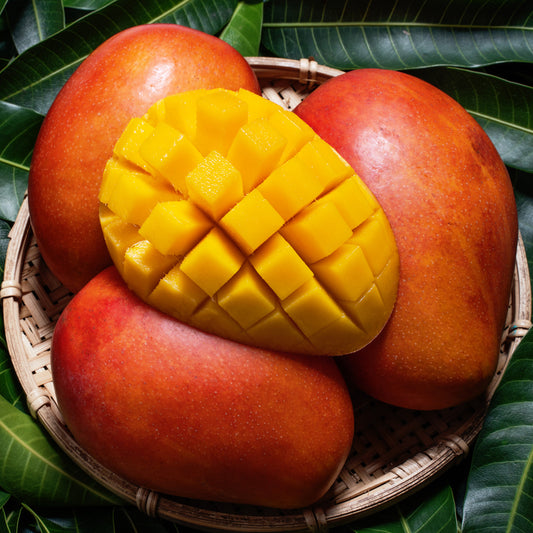 Pineapple Mango (our version of BBW) Fragrance Oil
