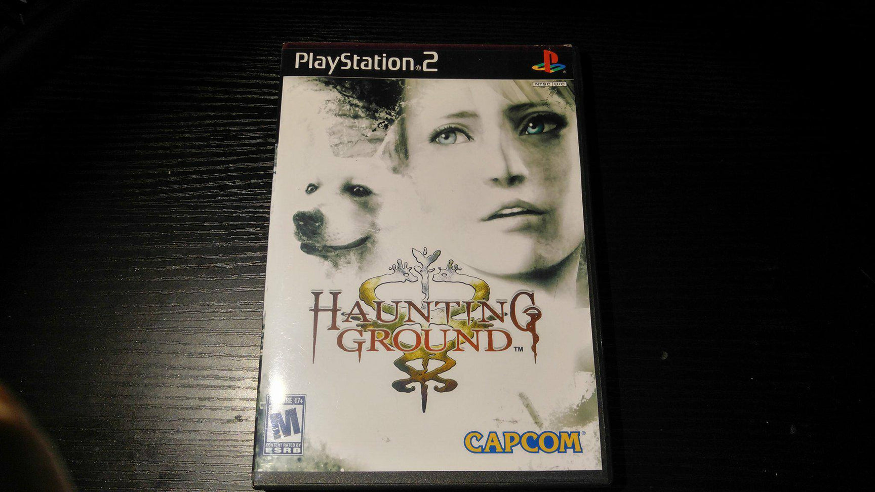 Rule of Rose PS2 Reproduction – Nightwing Video Game Reproductions