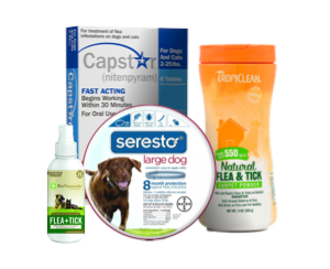 shop flea & tick