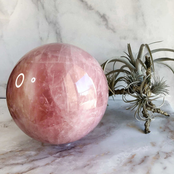 33lb XL Rose Quartz Sphere Mooncat Crystals