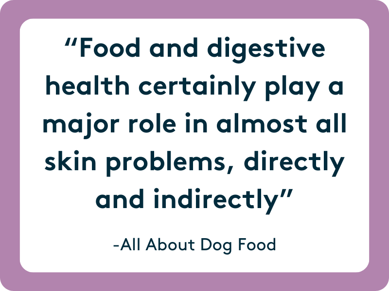food and digestive health has an effect on your dogs skin health