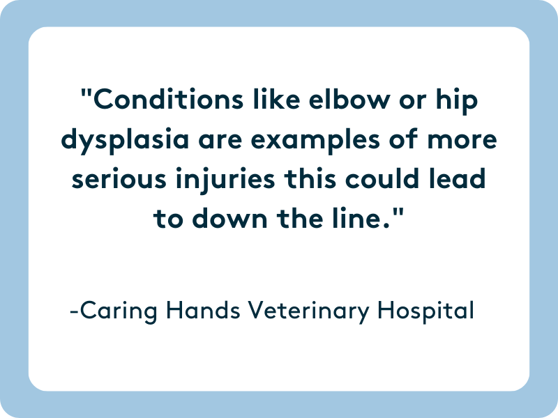 Conditions like elbow or hip dysplasia are examples of more serious injuries this could lead to down the line