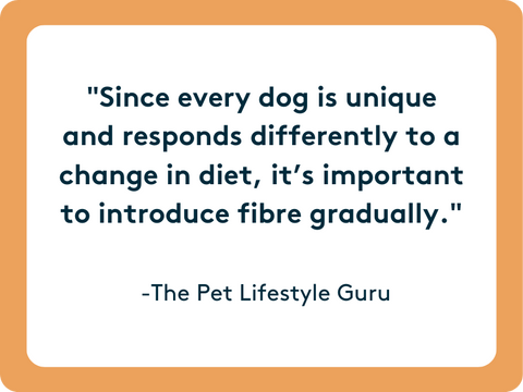 make sure you add fibre to your dog's diet gradually