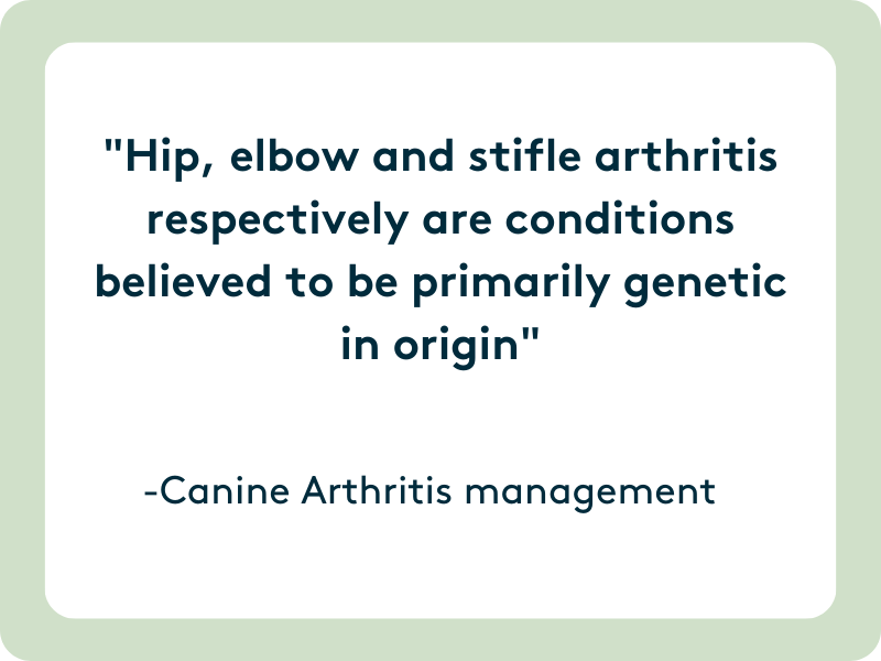 Hip, elbow and stifle arthritis respectively are conditions believed to be primarily genetic in origin