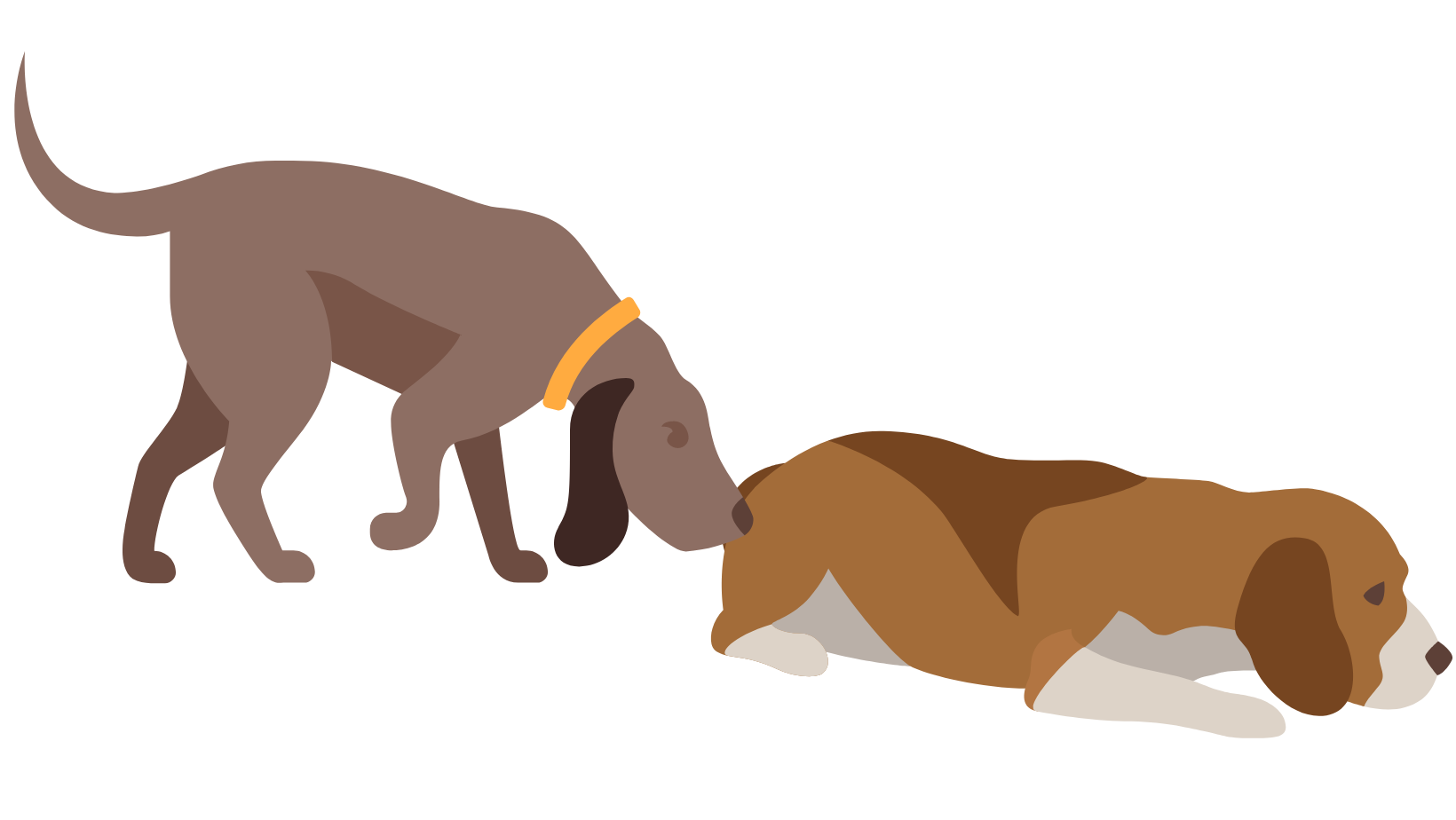 dogs have anal glands to communicate with each other