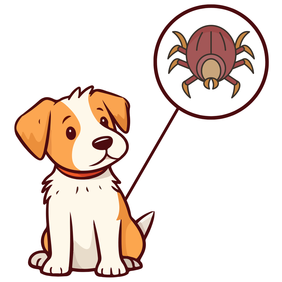make sure to check your itchy dog for ticks