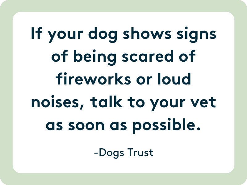 talk to your vet if your dog shows signs of anxiety and fear during fireworks