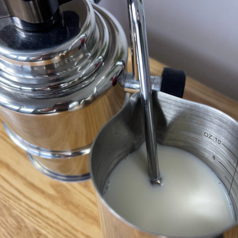 Steaming milk in pitcher