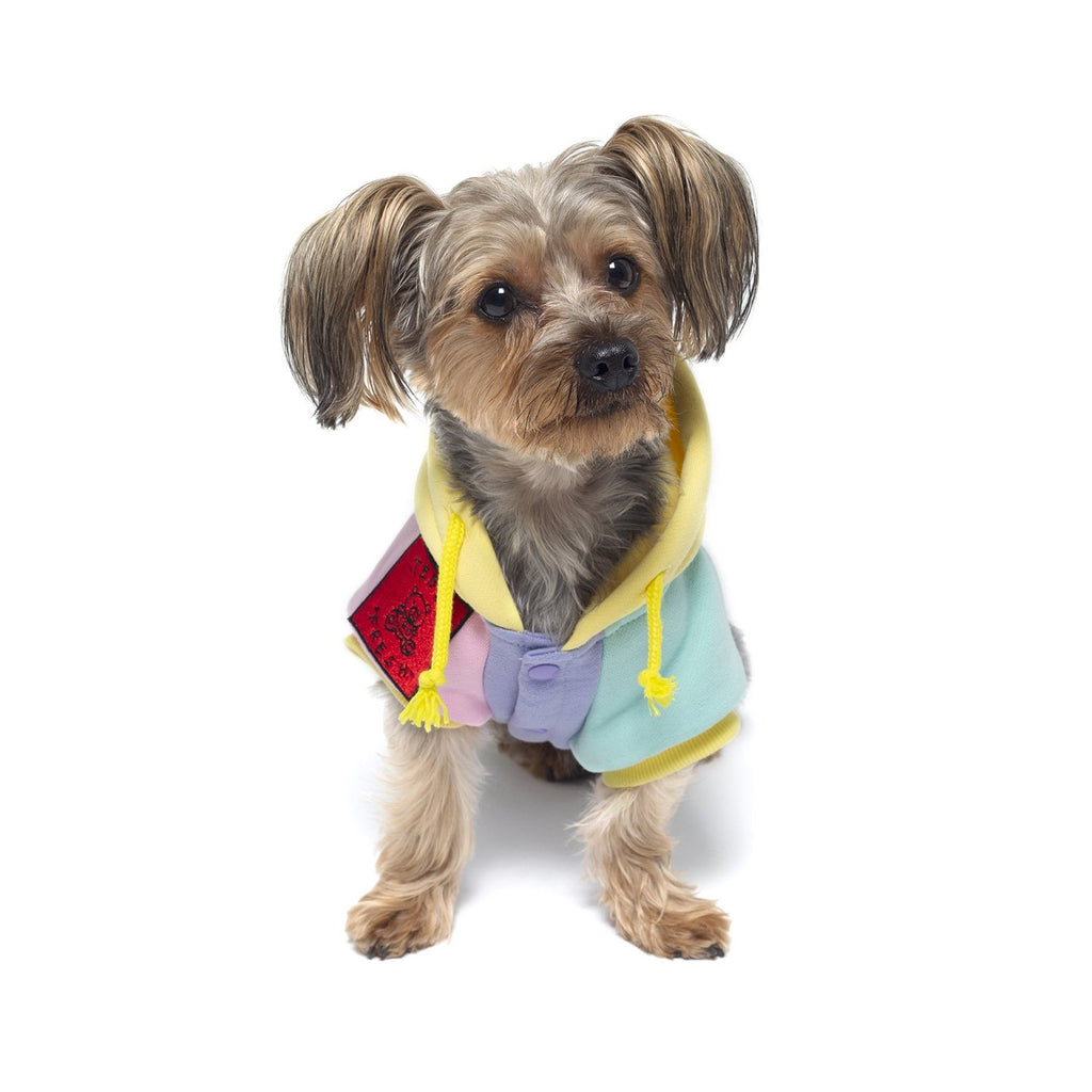 pet clothes for dogs