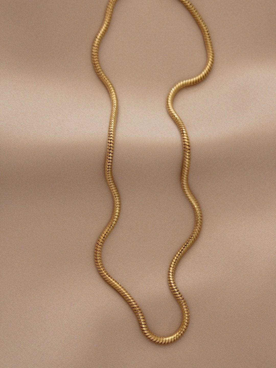 Snake Chain Necklace