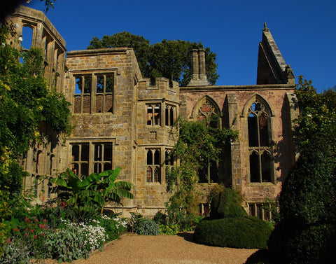 The Ruins of the House