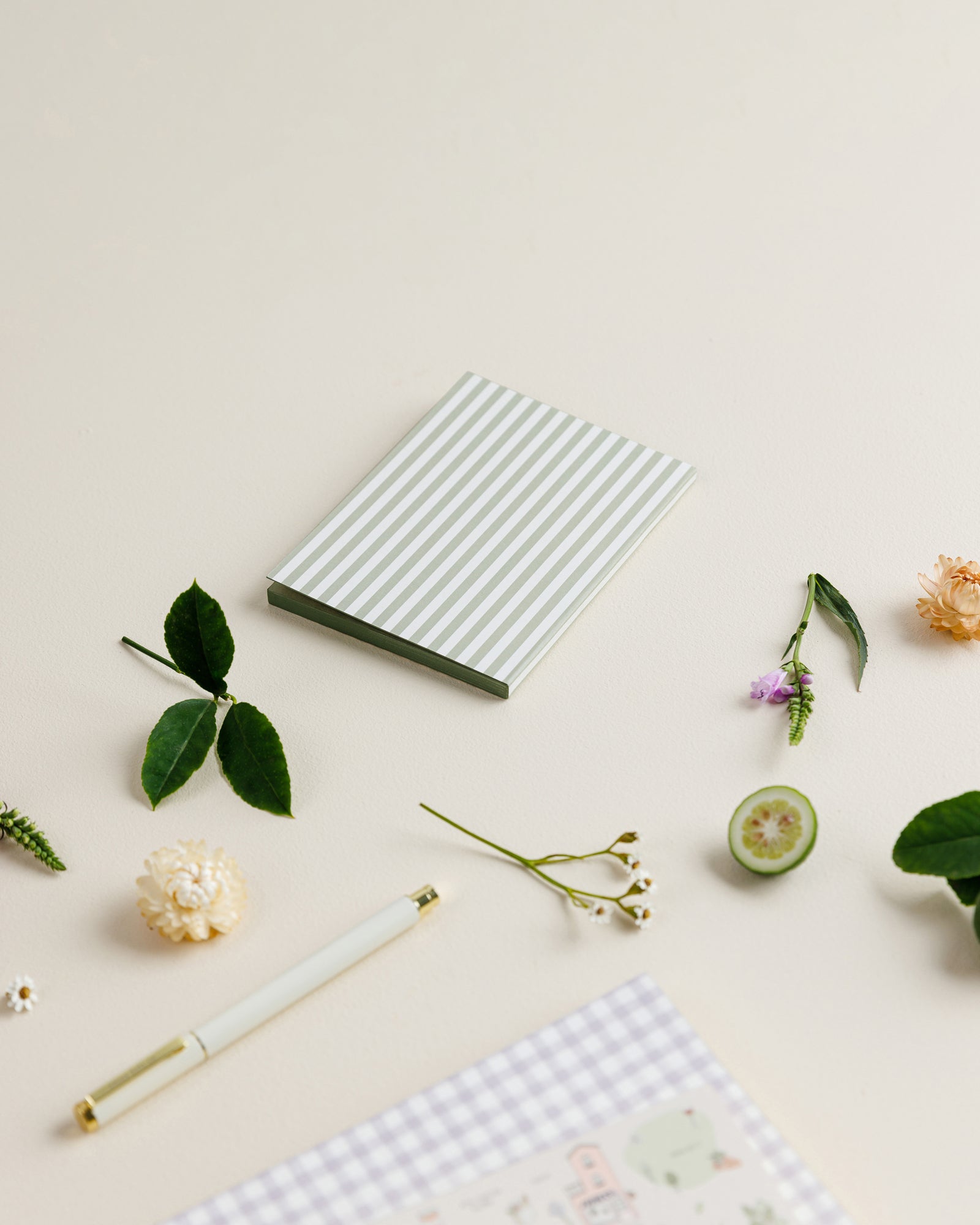 Emma Kate Co Petite Notebook | Sage Stripe