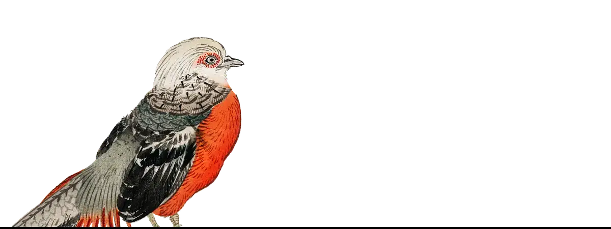Impresión de arte de pájaro colorido por Taguchi Tomoki con estilo de Kōno Bairei para fanáticos de la historia