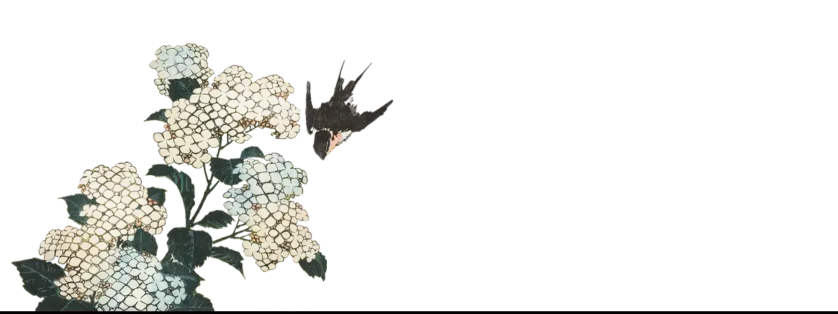 White flower clusters art print by Taguchi Tomoki from Kōno Bairei collection