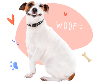 White and tan dog with a joyful expression , smiling against a backdrop with the word text 