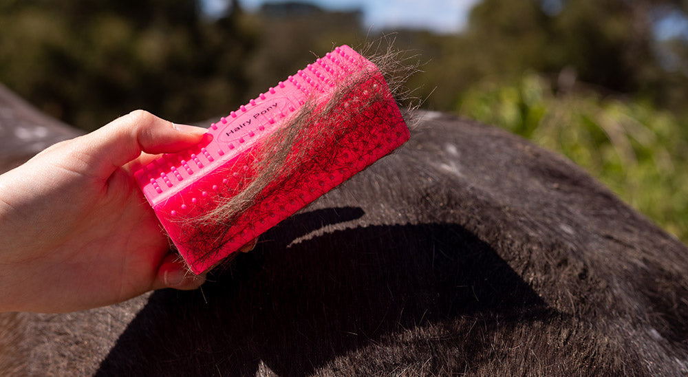 Horse grooming over winter