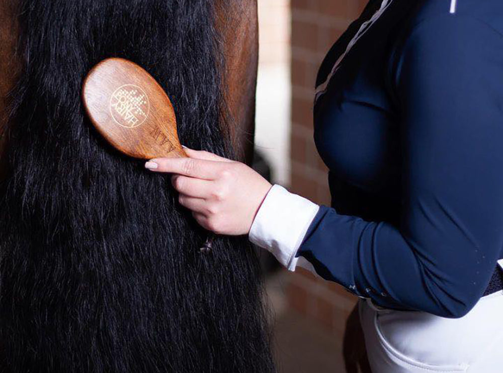 caring for your horses tail