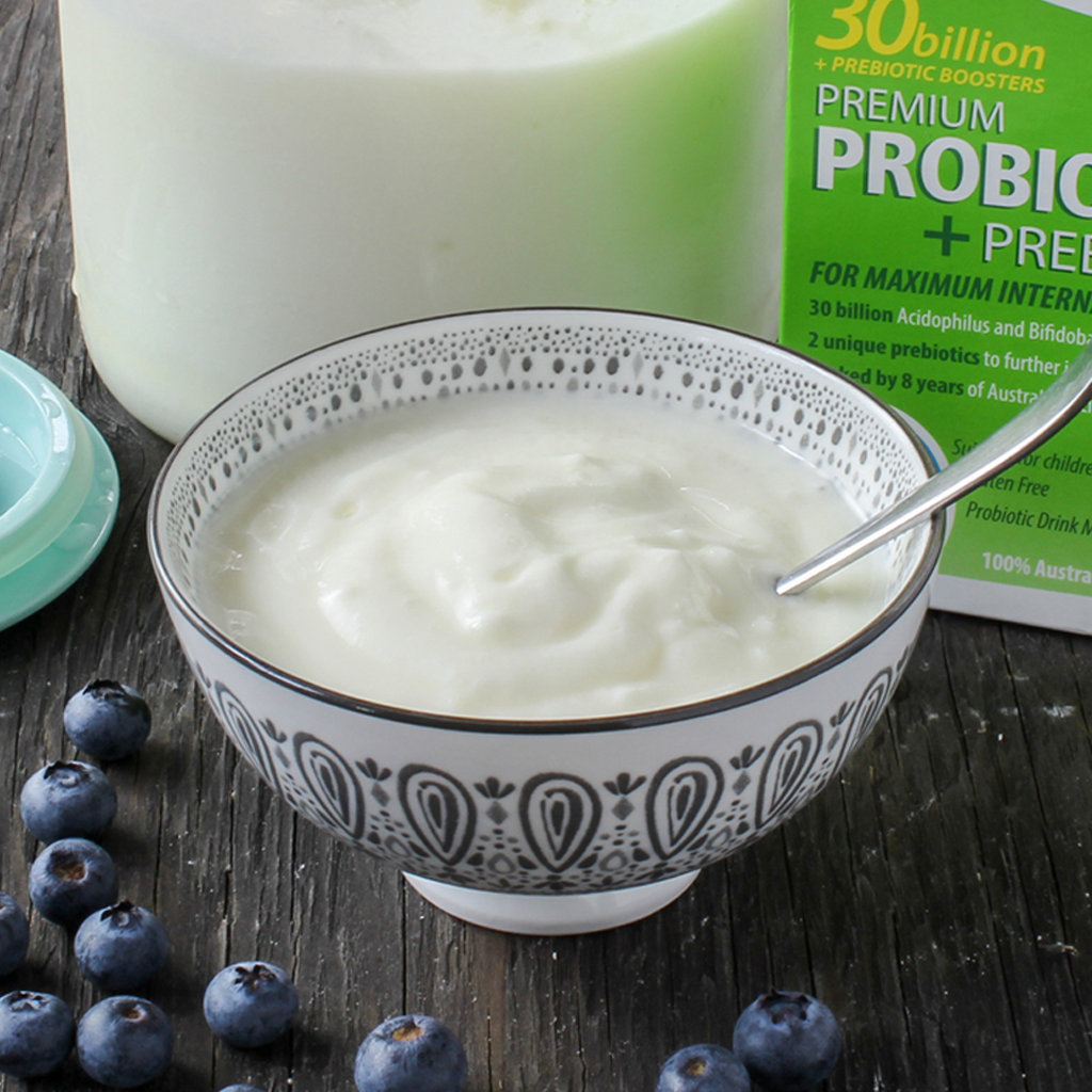 Progood Probiotic Homemade Yogurt Luvele Us