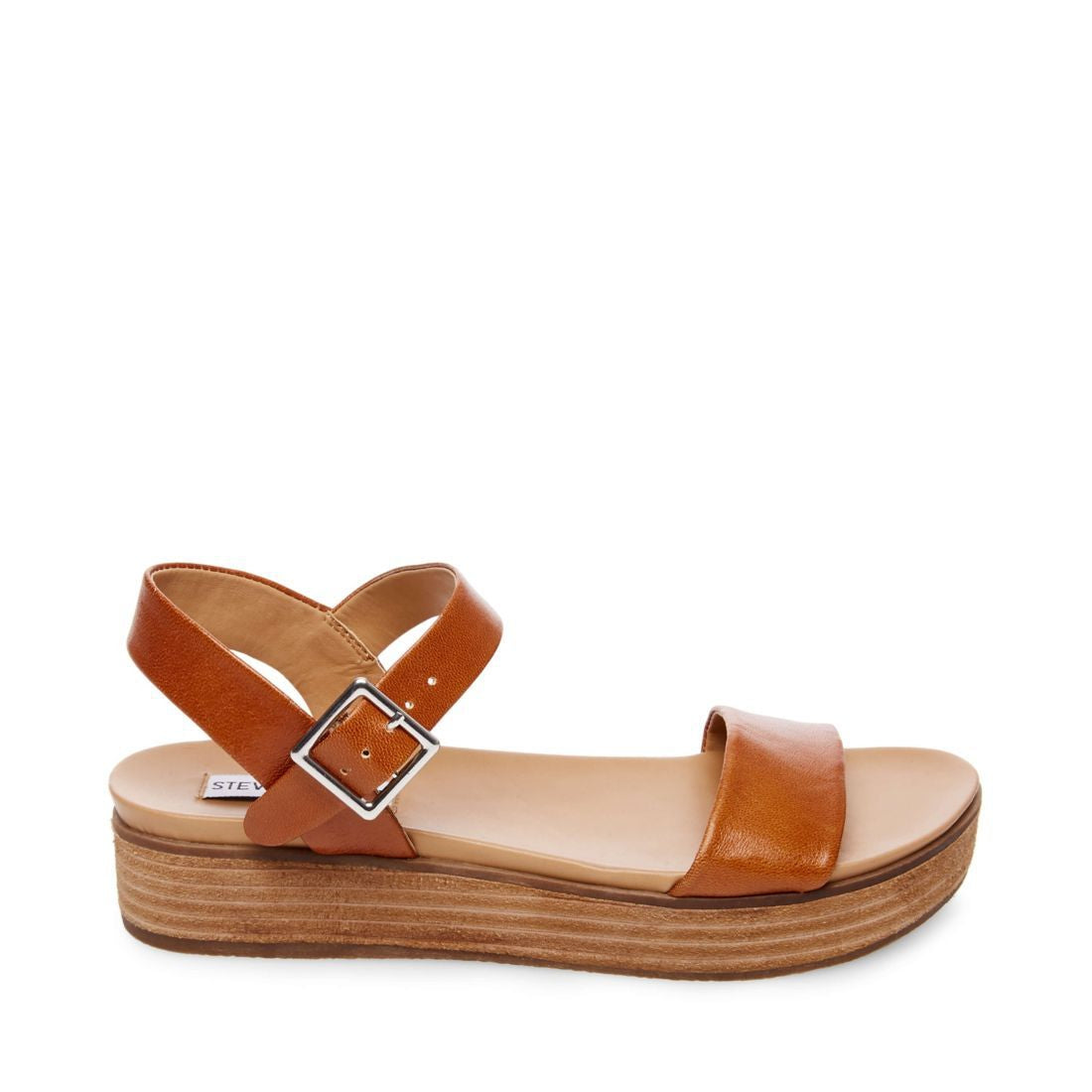 steve madden aida snake