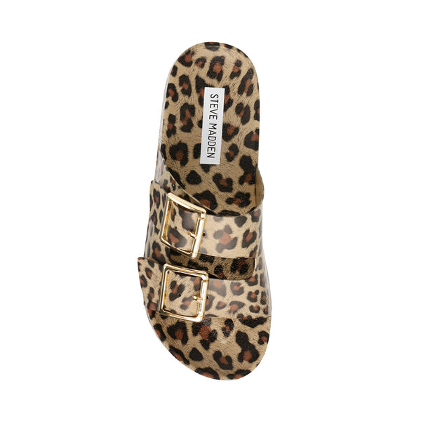 leopard sandals steve madden