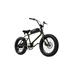 bmx electric