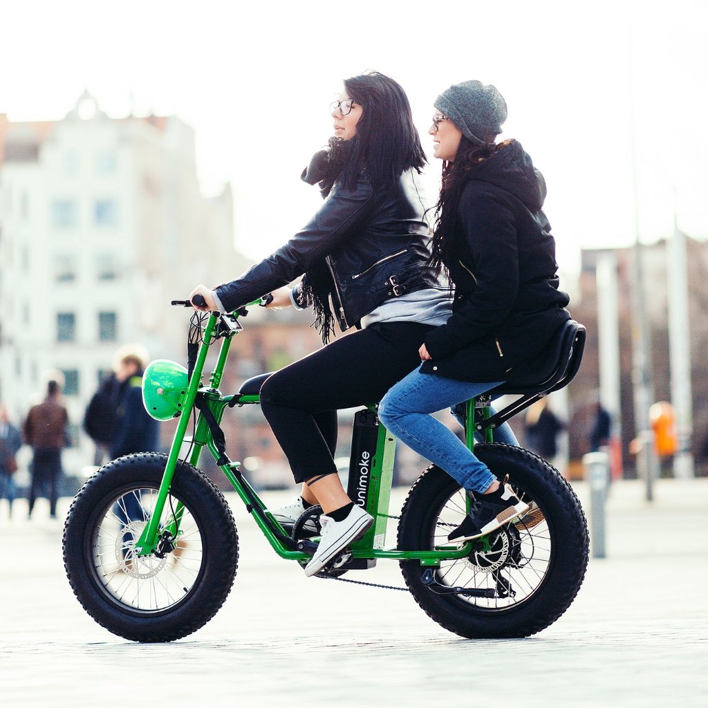 electric bicycle for two